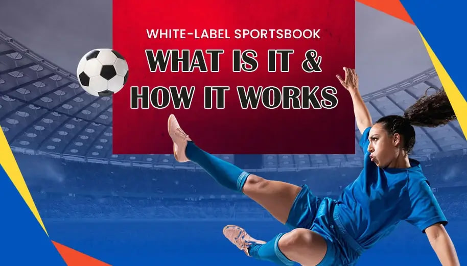 WHITE-LABEL SPORTSBOOK: WHAT IS IT AND HOW IT WORKS এল৪৪৪.কম #১ অফিসিয়াল